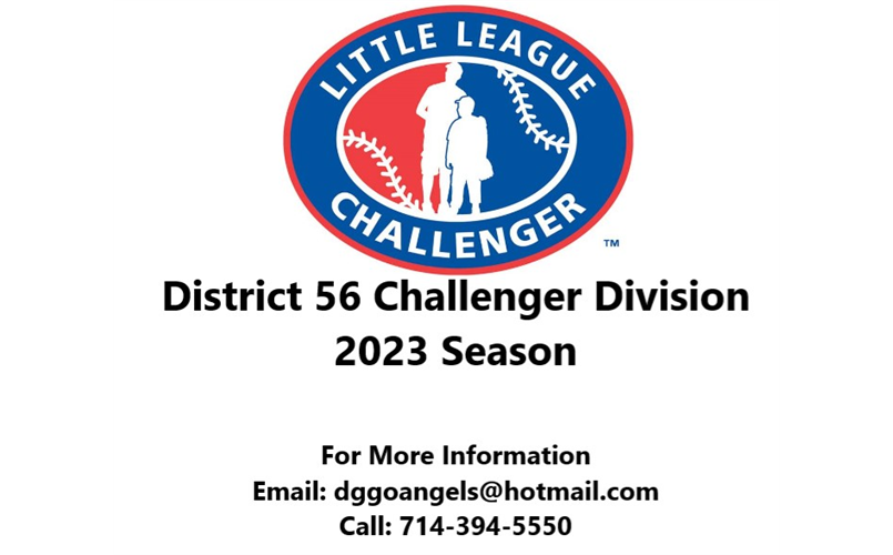 2023 Challenger Division